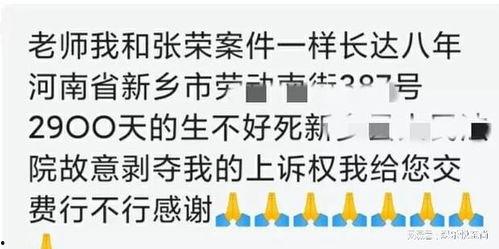 漳州搞笑爆料案件最新,一场意外引发的欢乐风波