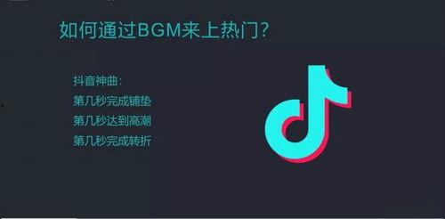 抖音新人最新爆料,揭秘抖音最新玩法与热门趋势！