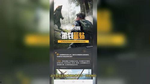 黎明觉醒最新爆料职业,揭秘全新职业，探索未知力量觉醒之路