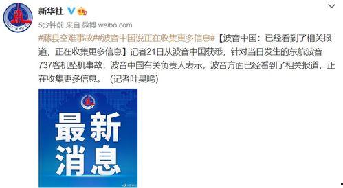 爆料中国新闻网官网最新消息,揭秘重大事件背后真相！”