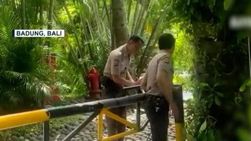 巴厘岛情侣事件最新爆料