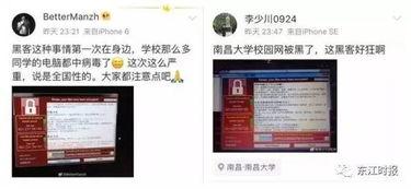 全国黑料爆料网站大全最新,网络舆论监督的新动向