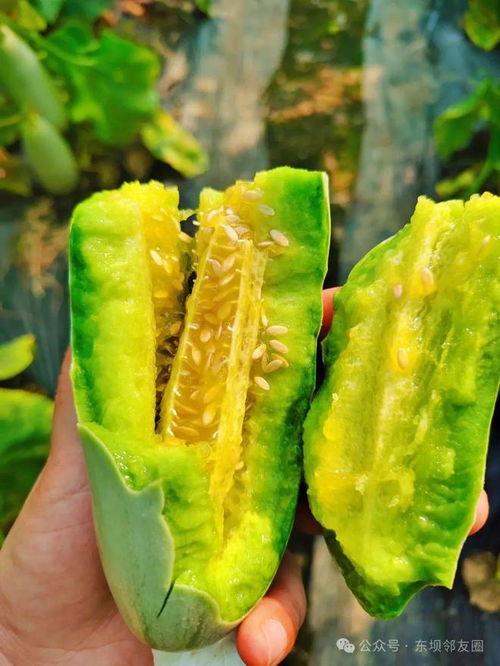 免费进吃瓜群,畅享热门话题盛宴！