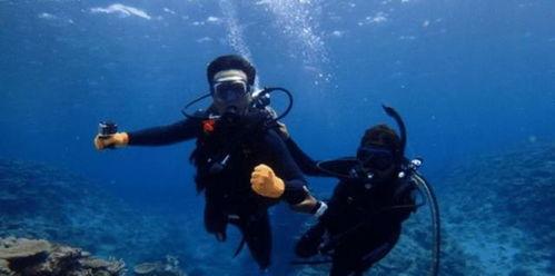 海底王宫爆料视频,神秘爆料视频带你探秘未知世界