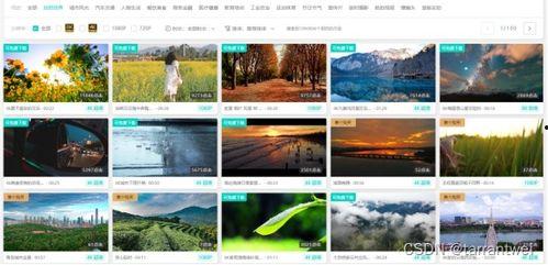 最近被爆料的视频素材,最新视频素材背后的惊人真相