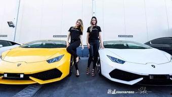 网红跑车爆料视频大全,速度与激情的视觉盛宴