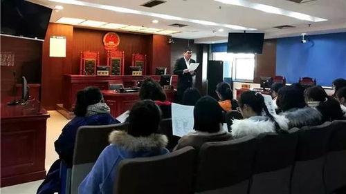 天津法院爆料的视频有哪些,揭露司法内幕与争议焦点