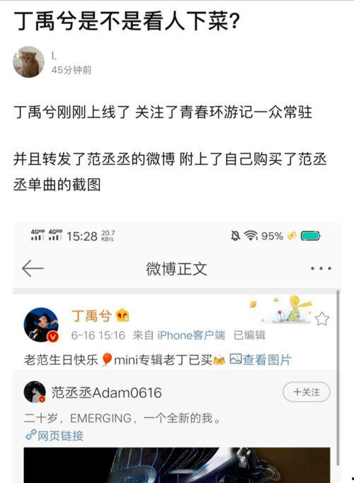 今日爆料丁禹兮是哪期,揭秘神秘哪一期精彩亮相