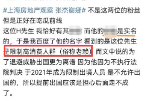 谢娜爆料录音视频播放,揭秘娱乐圈幕后故事