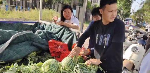 杭州网红打架吃瓜事件,网络暴力下的现实冲突与反思