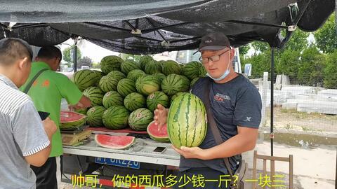 杭州网红打架吃瓜事件,网络暴力下的现实冲突与反思