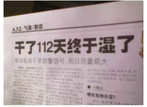 新闻爆料标题文字大全,捕捉热点，洞察社会脉动