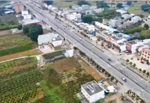 贵港网友爆料新闻最新,神秘事件背后真相揭晓！