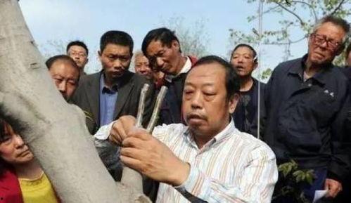 农民大哥爆料新闻视频,揭秘田间地头最新爆料视频