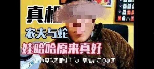 小胖爆料老二视频播放全集,老二视频全集独家播放，精彩瞬间一网打尽