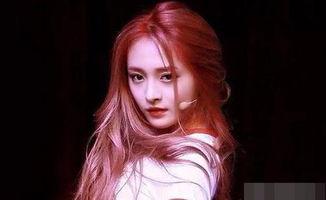 娱乐爆料社周洁琼,娱乐爆料社揭秘明星幕后故事