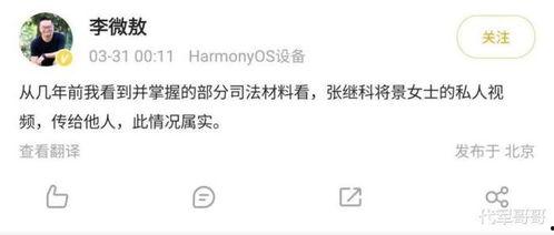 记者爆料赌博事件视频播放,赌博事件视频引发社会关注