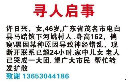 电白马踏新闻爆料,揭秘新能源汽车行业新动态
