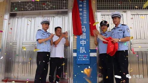 电白马踏新闻爆料,揭秘新能源汽车行业新动态