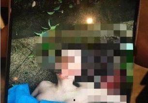 苏州酒托爆料事件视频,揭秘酒托诈骗手段与受害者心声