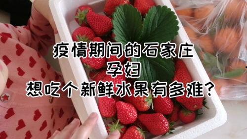石家庄水果最新爆料消息,尽享时令美味