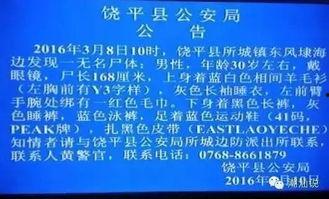 潮汕新闻爆料途径有哪些,多元渠道，共筑信息桥梁
