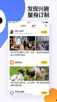 爆料挑战视频在线观看,在线观看背后的精彩故事