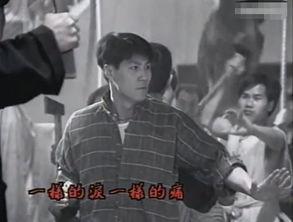 老乐爆料柳爷视频全集,老乐爆料背后的精彩故事