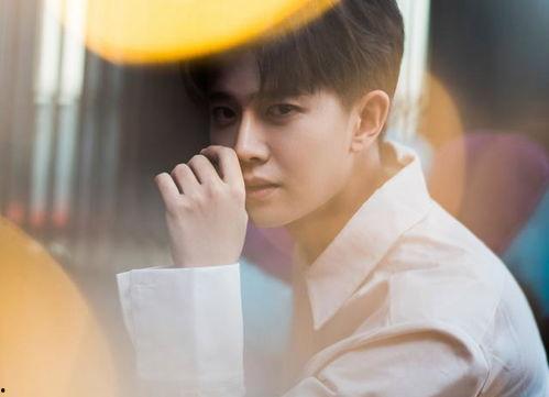 任嘉伦爆料最新视频,幕后故事与心路历程大公开