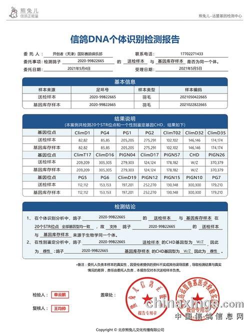 二宁最新爆料新闻报道视频,揭秘事件背后惊人真相