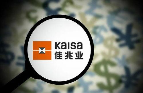 佳兆业爆料最新消息,揭秘企业动态与未来走向