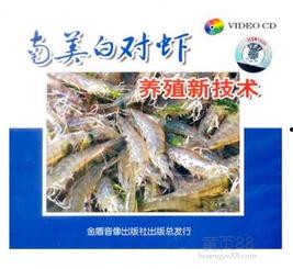 养殖对虾爆料视频教程全集,视频教程全集精华汇总