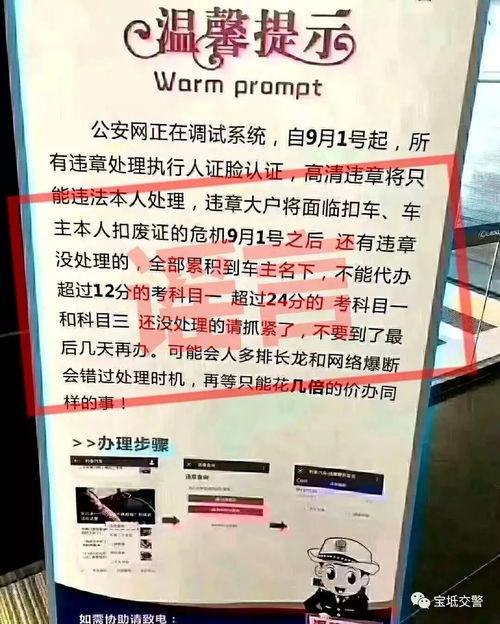 新闻爆料搞笑,笑料百出！新闻爆料竟成喜剧舞台