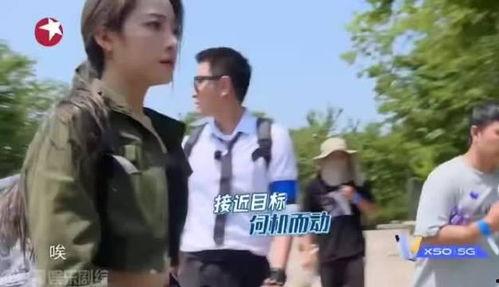 吃鸡近期爆料视频在哪看,近期爆料视频观看指南