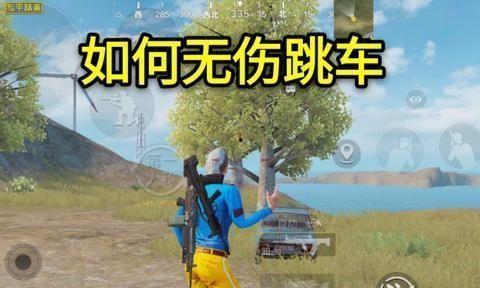 吃鸡近期爆料视频在哪看,近期爆料视频观看指南