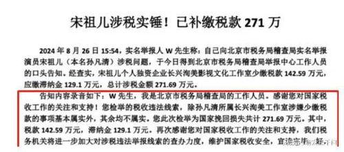 最新爆料偷税,最新爆料直击税收违规行为