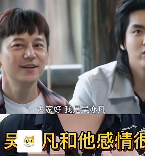 章叔前任爆料视频全集,揭秘不为人知的背后真相