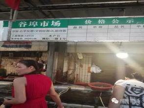 埠西市场爆料案件最新情况,案情揭秘，真相渐明！”