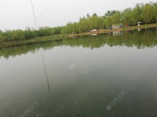 老范钓鱼爆料视频在线观看,在线观看独家爆料视频