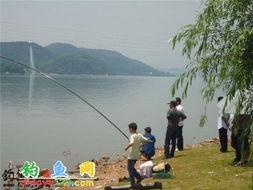 老范钓鱼爆料视频在线观看,在线观看独家爆料视频