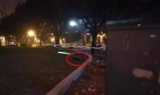 玉林二环爆料事件始末视频,真相与争议的交织