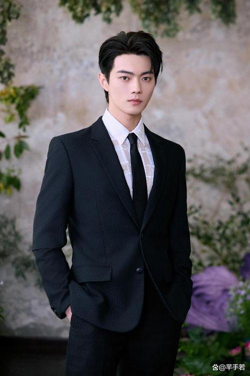 娱乐圈大爆料许凯,娱乐圈大爆料背后的真相揭秘