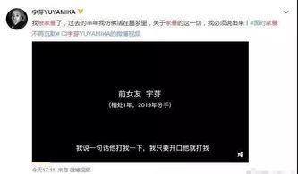 网友爆料家暴视频,暴力阴影下的家庭悲剧