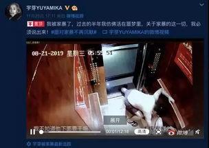 网友爆料家暴视频,暴力阴影下的家庭悲剧