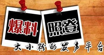 南宁当地新闻爆料平台,聚焦城市热点，解码民生故事