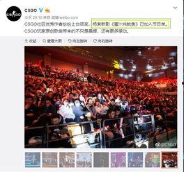 最酷的爆料视频网站,独家内幕大公开！