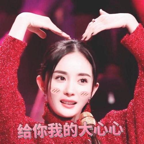 娱乐圈营销号爆料周冬雨,娱乐圈营销号爆料背后真相揭晓