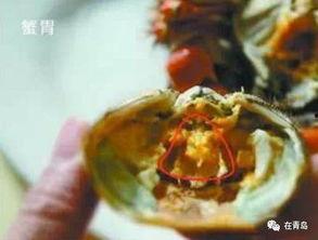 苏州新闻蟹黄爆料事件,揭秘背后真相与争议