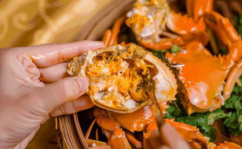 苏州新闻蟹黄爆料事件,揭秘背后真相与争议