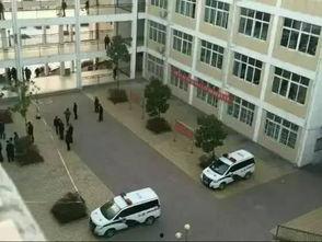 南阳高中爆料事件最新,真相揭开，校园风波再起